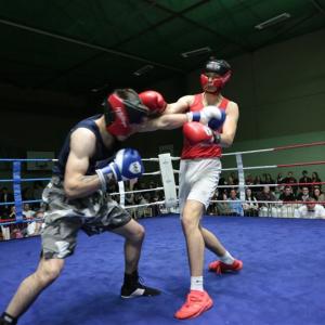 QO9A2659