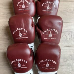 Cullompton ABC Boxing Gloves